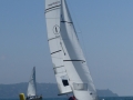 IMG_2445.jpg