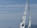 IMG_2451.jpg