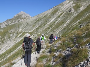 IMG_6721 (1)