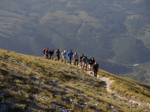 IMG_6729 (1)