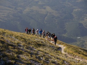 IMG_6729