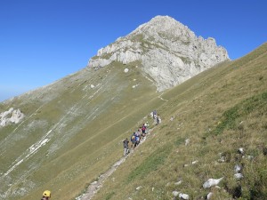 IMG_6746 (1)