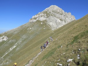 IMG_6746